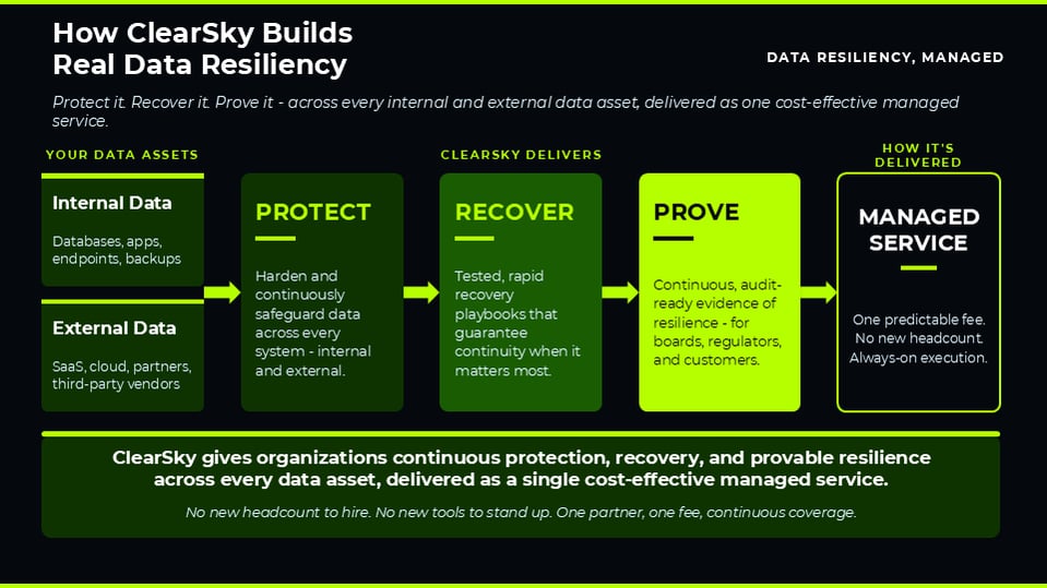 ClearSky-Data-Resiliency No Contact INFO-1